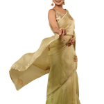 Heritage Green Antique Flower Organza Saree | All Over Antique Butta Work | Jaipurio Designer Collection